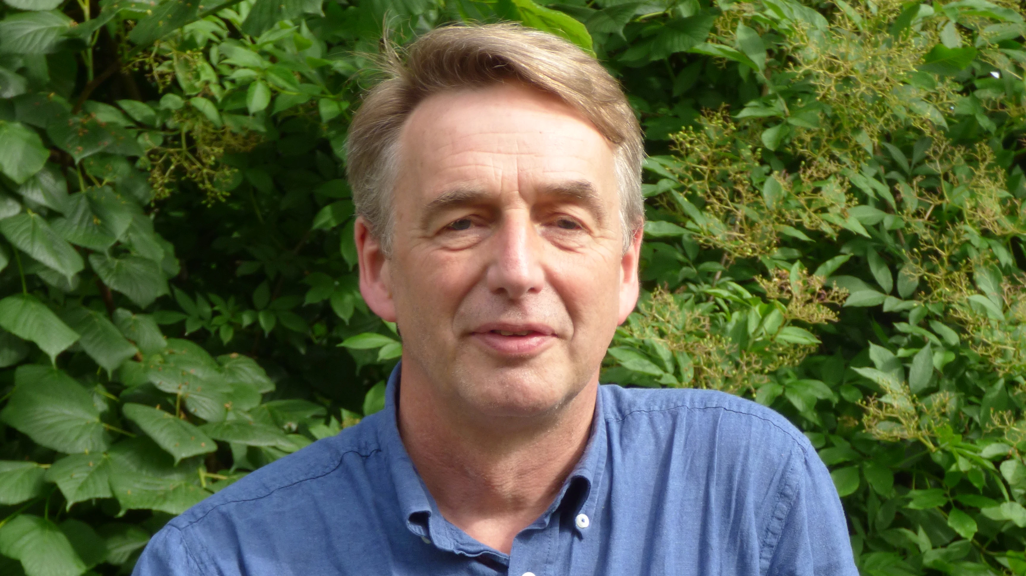 V Jansen