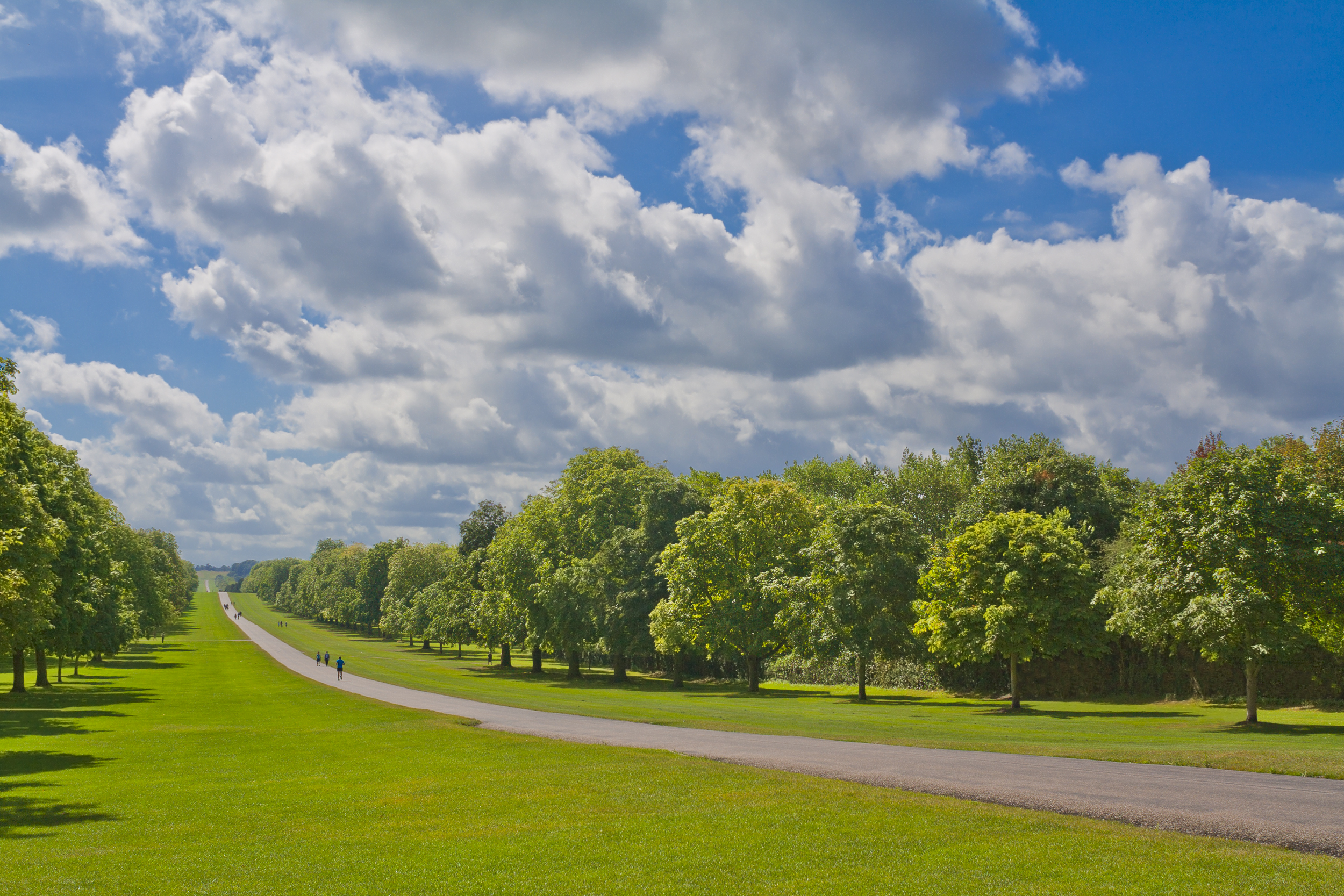 Windsor Great Park 