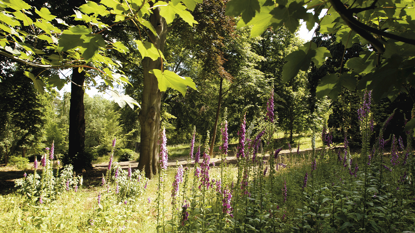 Campus Grounds