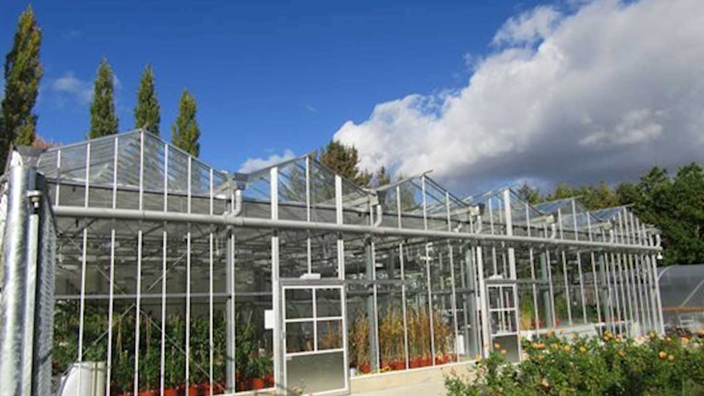 biolgical science glasshouse