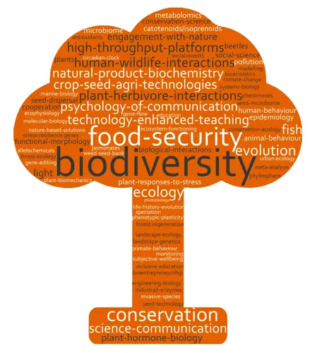 BES Word Cloud