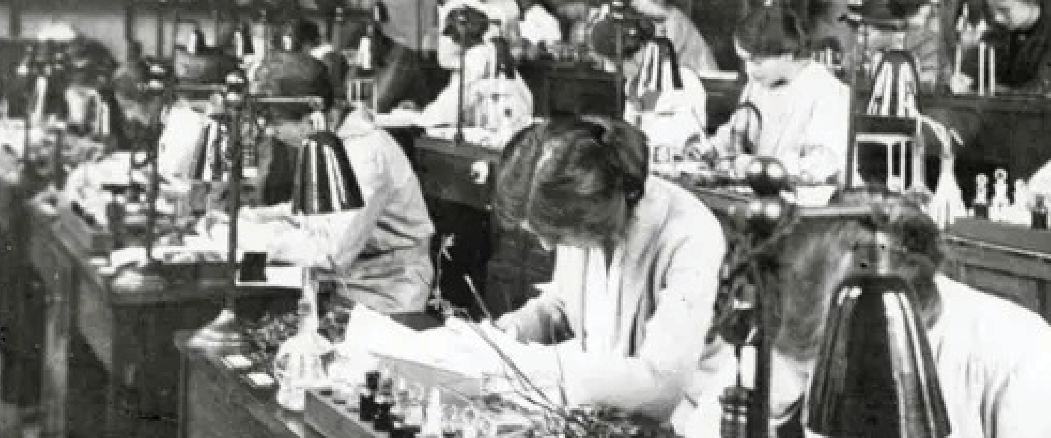 ‘The Final year Botany class at work in the general laboratory’, Bedford College (1914), BC PH/4/4